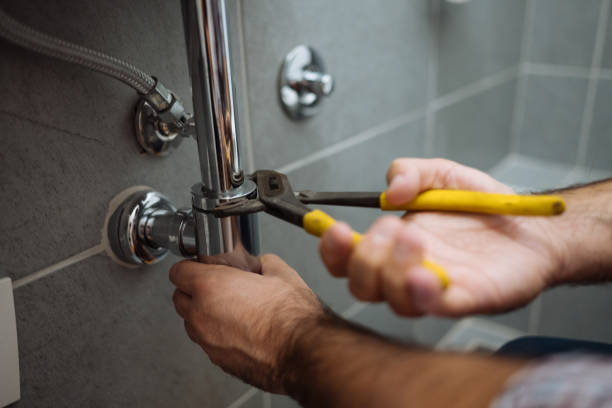Best Leak Detection Services  in La Plata, NM